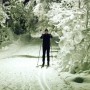 Skidor på kvällen