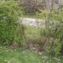 IMAG0031