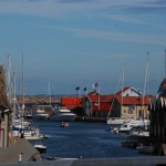 DSC_3717 DSC_3717