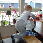DSC_5784 Hjälpa mamma och få tag på hushållsrullen