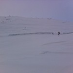 IMG_3849 IMG_3849