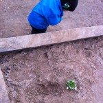 2012-04-23 18.21.40 2012-04-23 18.21.40