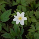 DSC_6569 DSC_6569