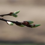 DSC_6571 DSC_6571