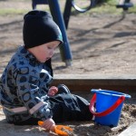DSC_6586 DSC_6586
